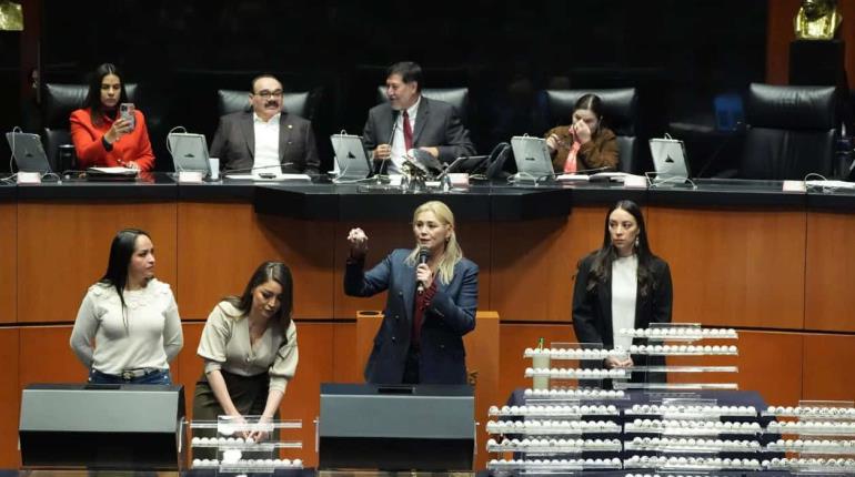 "Verdaderamente humillante", dice JUFED ante tómbola judicial en el Senado