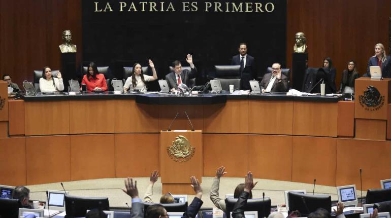 Senado aprueba convocatoria para elecciones en el Poder Judicial