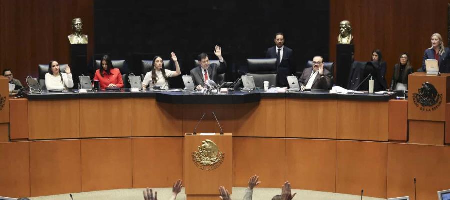 Senado aprueba convocatoria para elecciones en el Poder Judicial