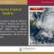 Se degrada "Nadine" a depresión tropical en Belice