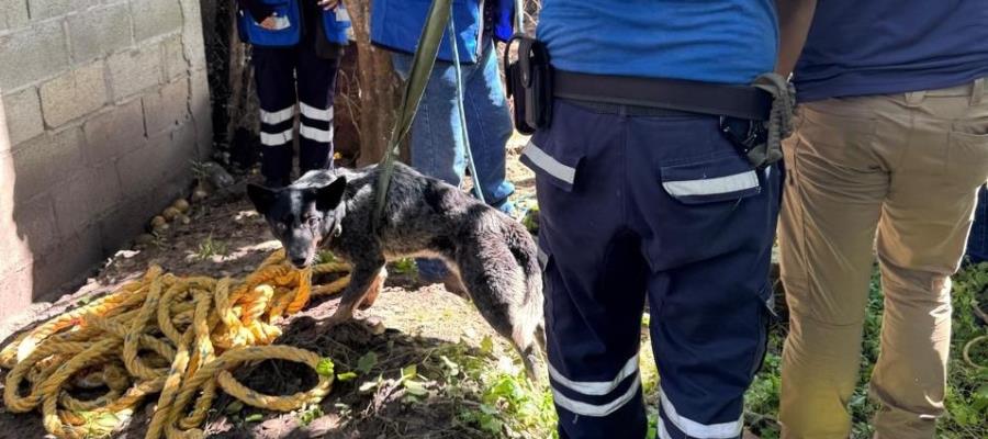 Rescatan a perro que cayó en pozo de agua en La Palma