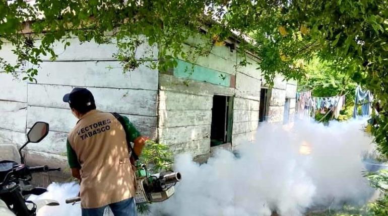 Este lunes inicia segunda fase de fumigación terrestre contra el dengue