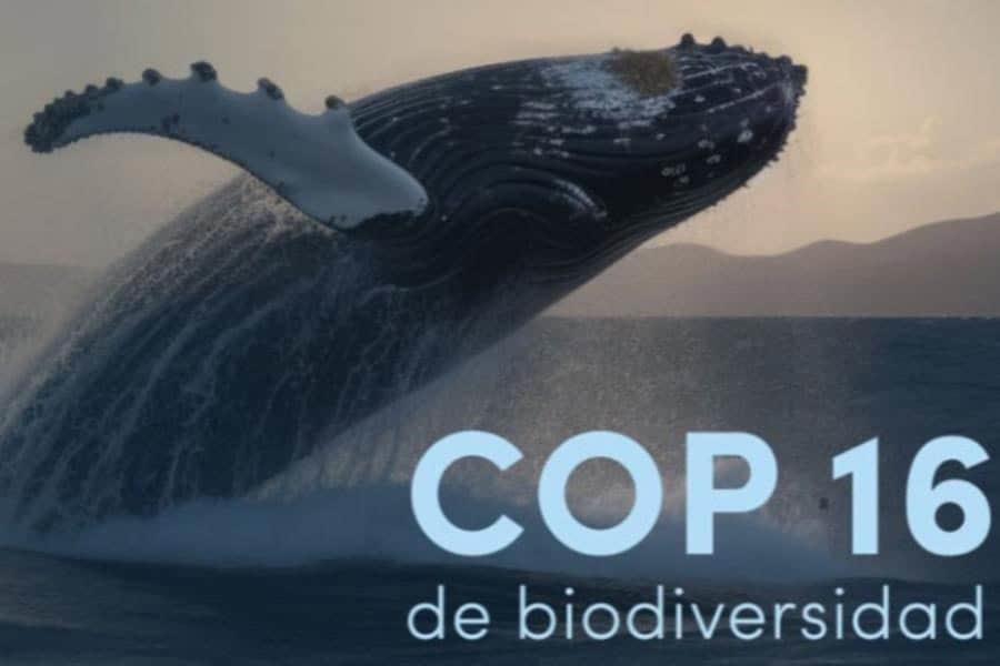 "Es lamentable": WWF sobre termino de COP 16 sin acuerdos financieros claves