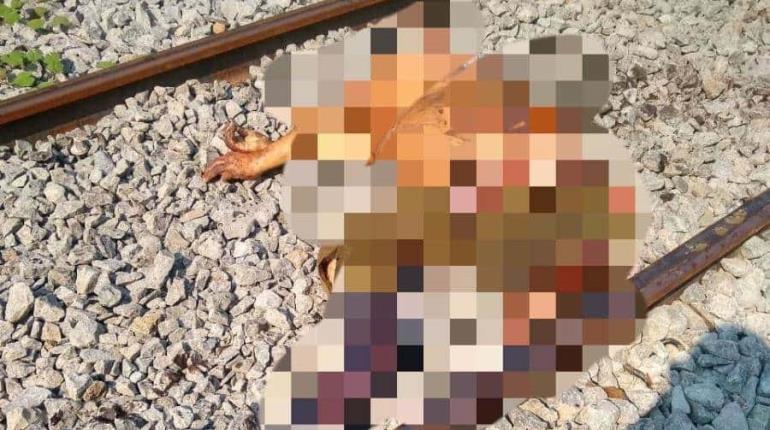 Fallece hombre tras ser arrollado por Tren Interoceánico en Macuspana