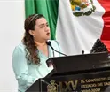 PRD Tabasco debe ser cuidadoso en postulación de candidatos si va en alianza en 2027: Diputada local