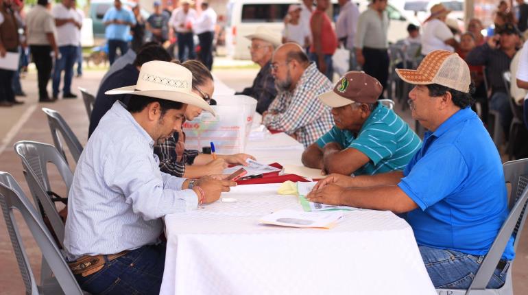 Suman más de 24 mil solicitudes de tabasqueños para acceder a Crédito Ganadero y Pescando Vida: Sedafop