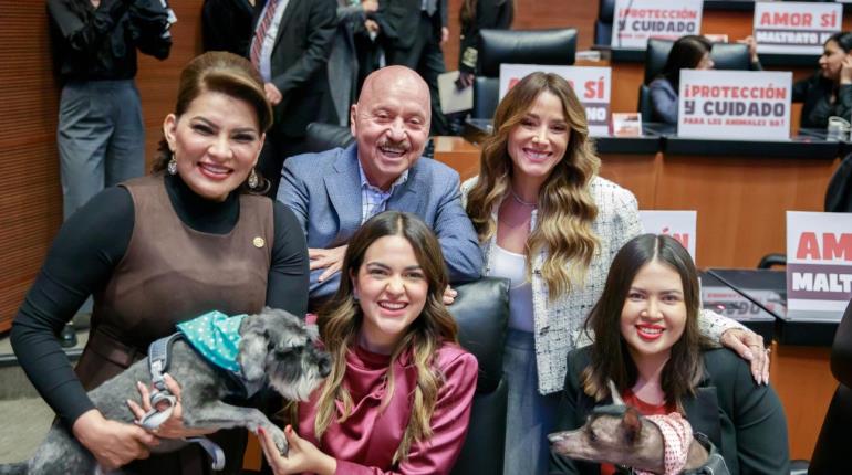 Aprueba Senado elevar a rango constitucional protección y cuidado de los animales