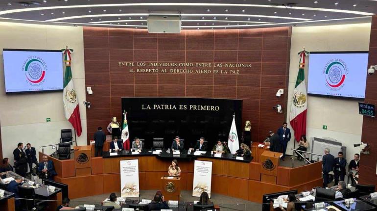 Avanza en Senado reforma sobre lenguaje incluyente