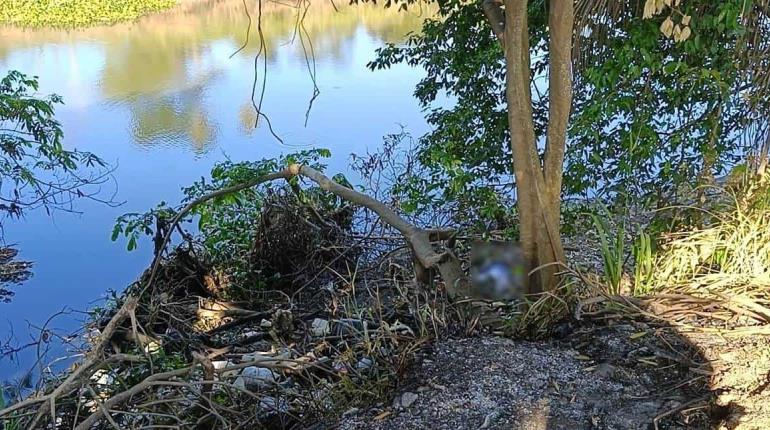 Hallan sin vida a pescador a orillas del río Mezcalapa en Sabina