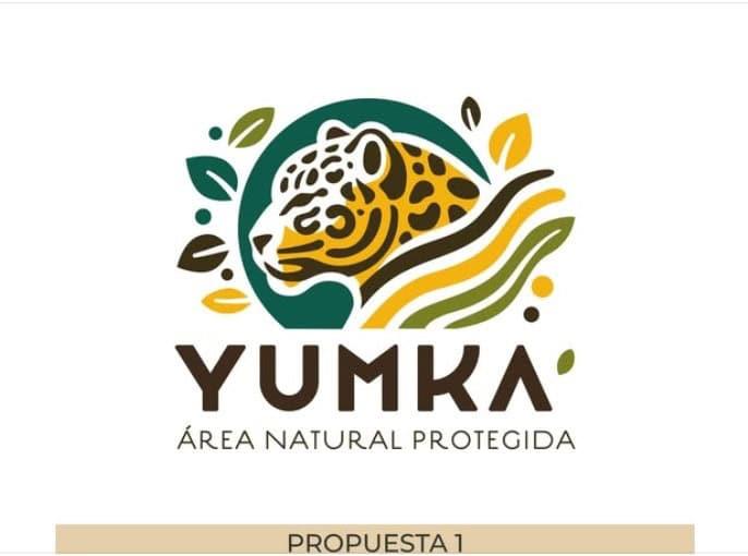 Presentan nuevo logotipo del Yumká