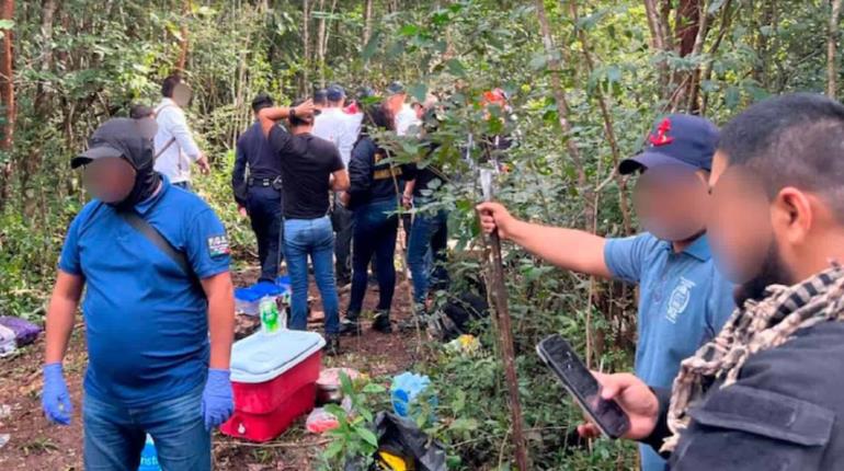 Localizan fosa clandestina con restos óseos de al menos 7 cuerpos en Quintana Roo