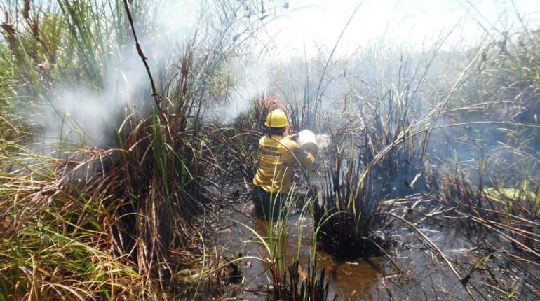 Amplían operación de brigadas contra incendios en Pantanos de Centla