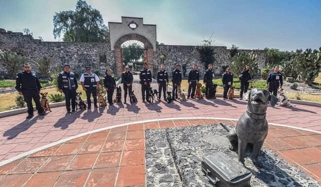 Con binomios, SADER busca prevenir entrada de plagas y enfermedades a México