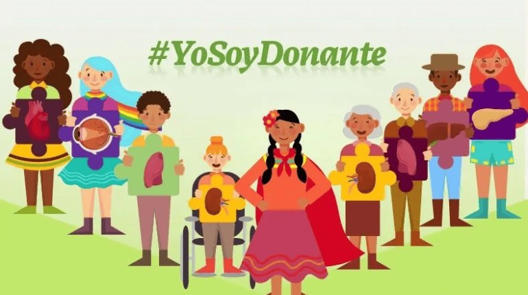 Soy donante voluntario ¿Cómo se aplica el protocolo?