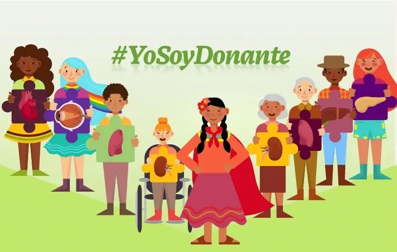 Soy donante voluntario ¿Cómo se aplica el protocolo?