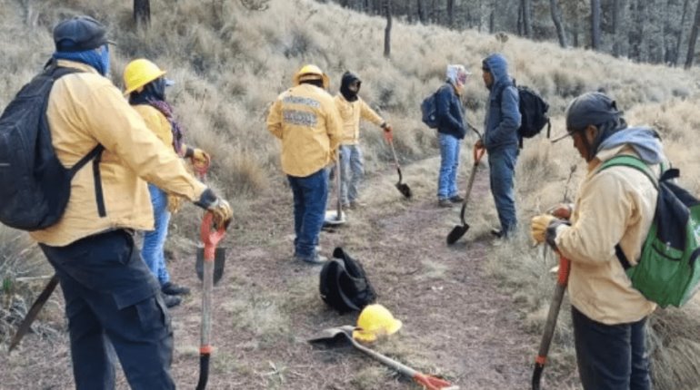 Por incendio cierran acceso al Parque Nacional Iztaccíhuatl-Popocatépetl