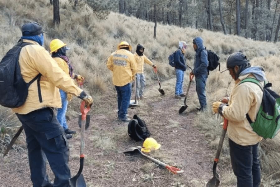 Por incendio cierran acceso al Parque Nacional Iztaccíhuatl-Popocatépetl