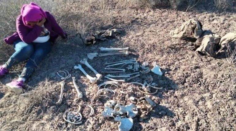 Madres Buscadoras de Sonora localizaron 164 cuerpos en 2024