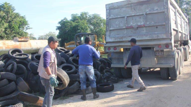 Recolectan más de 18 toneladas de llantas en Nacajuca