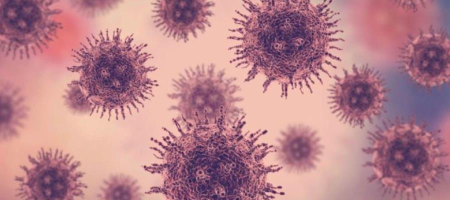 No hay motivo de alerta por metapneumovirus, tras muerte de paciente en Puebla: Salud