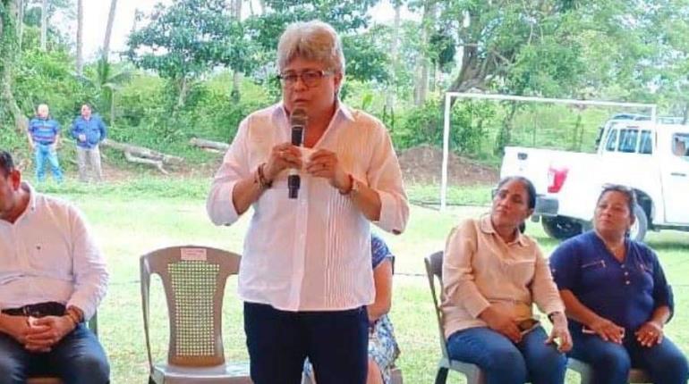 Hasta 400 casos de gusano barrenador en Tabasco, estima Sedap