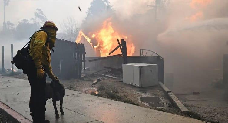 1 de cada 4 desplazados por incendios en LA es latino: Estudio de UCLA