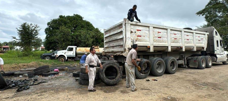 Eliminan más de 50 toneladas de llantas en 6 municipios durante campaña de prevención del dengue