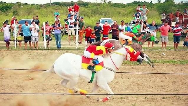 Chiapas prohíbe temporalmente peleas de gallos y carreras de caballos