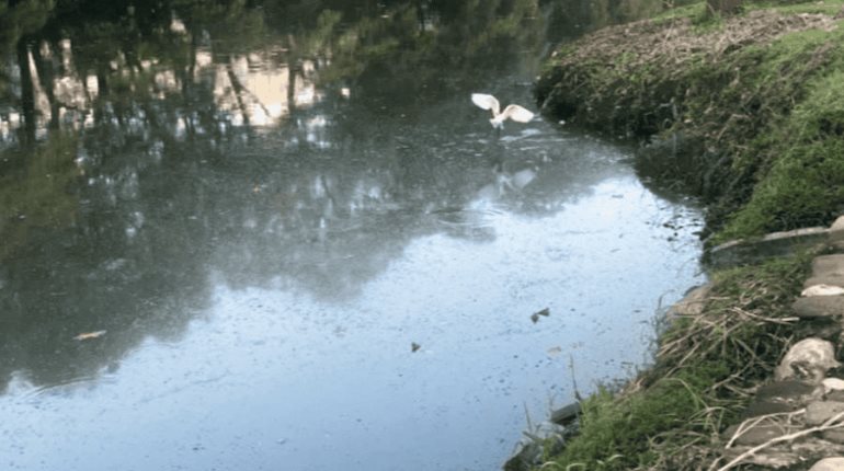 120 descargas siguen contaminando la laguna de Las Ilusiones: Conagua