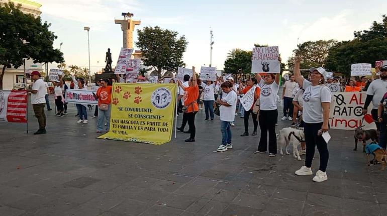 Marchan en defensa de los derechos de los animales en Villahermosa