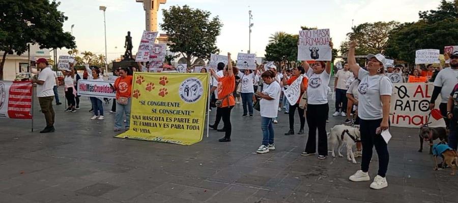 Marchan en defensa de los derechos de los animales en Villahermosa