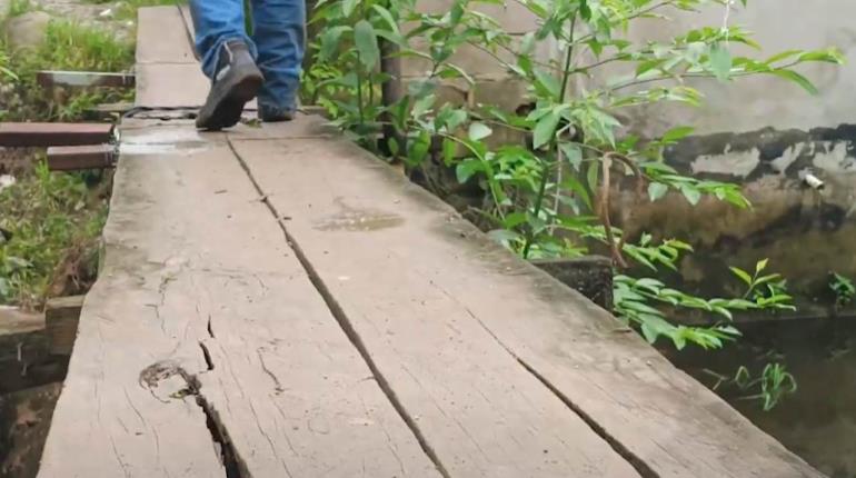 Alerta en Buena Vista Río Nuevo por cocodrilos en puente peatonal en mal estado