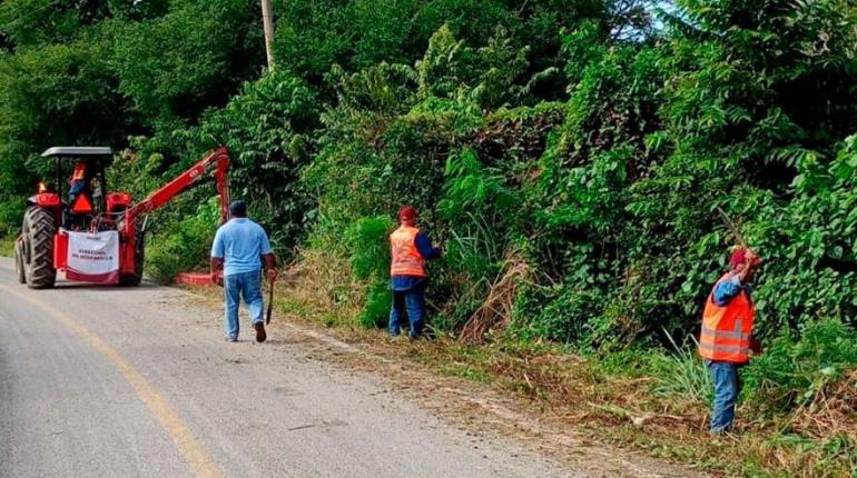 Continúan trabajos de limpieza de maleza en carreteras de Centro: Osuna