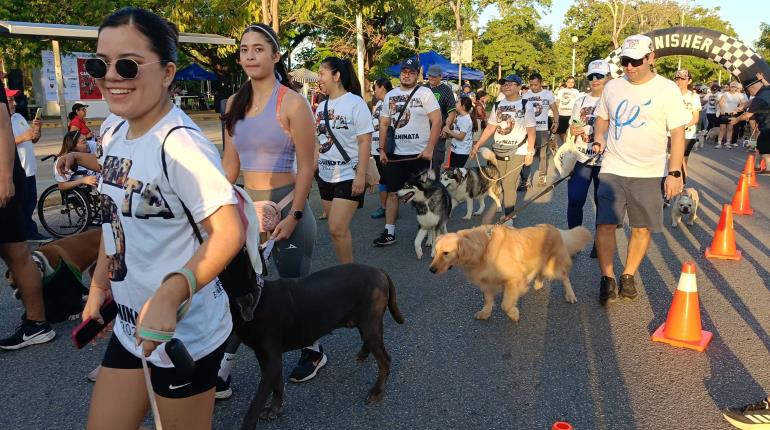 Más de 400 perritos participan en la 5ta Caninata y primer Pe-Run de Caninos 911