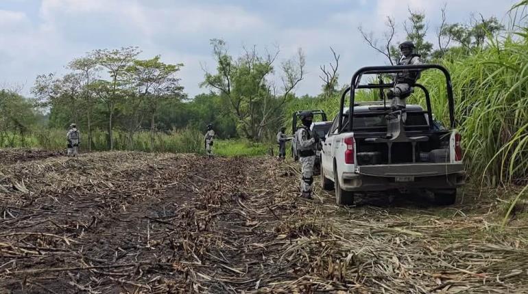 Hallan cañeros restos óseos en predio en la Coatzacoalcos-Cárdenas