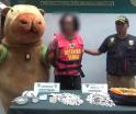 Policía en Perú se disfraza de capibara y atrapa a narcotraficante que creyó recibir un regalo de San Valentín