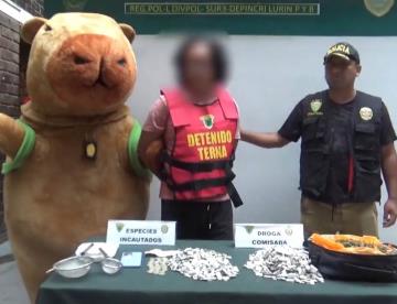 Policía en Perú se disfraza de capibara y atrapa a narcotraficante que creyó recibir un regalo de San Valentín