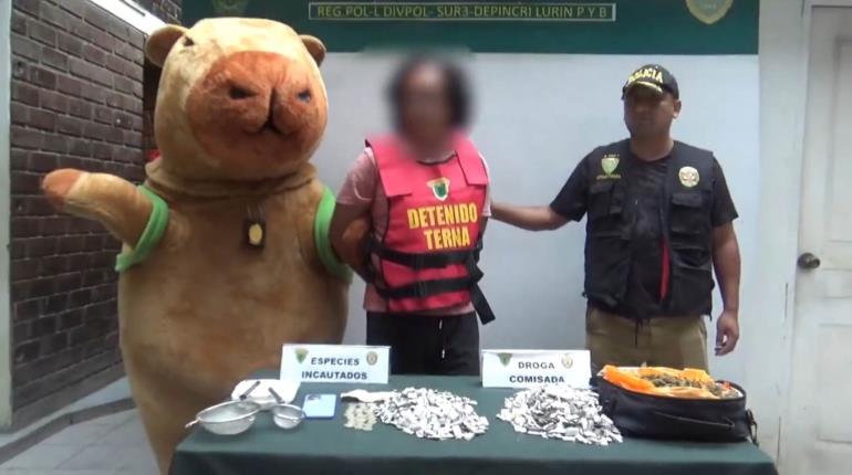 Policía en Perú se disfraza de capibara y atrapa a narcotraficante que creyó recibir un regalo de San Valentín