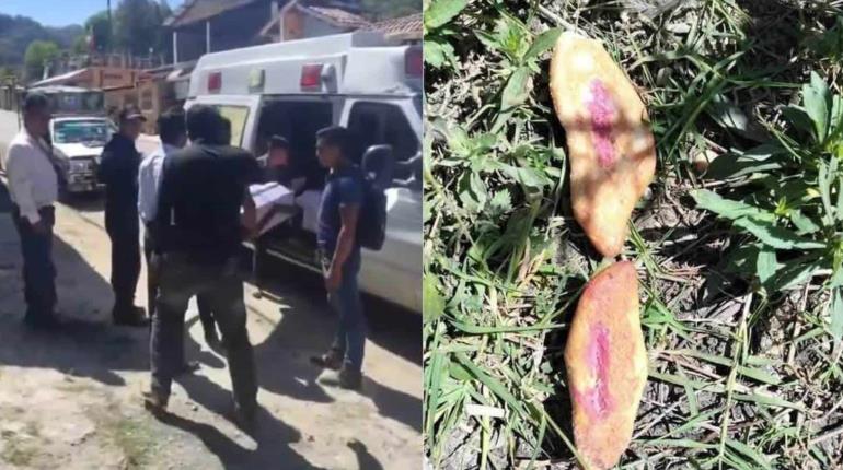 Mueren 3 niñas tras consumir pan envenenado destinado a perros callejeros en El Bosque, Chiapas