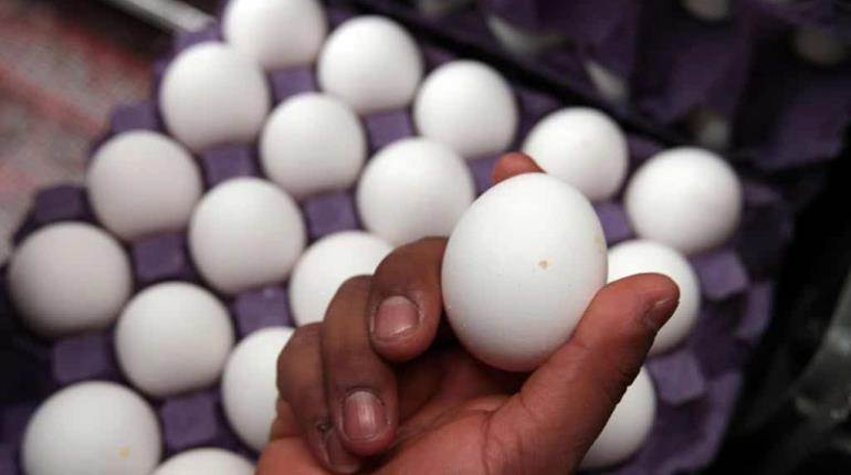 Precio de la docena de huevos rompe récord en EE. UU.; llega a casi 5 dólares