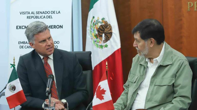 Canadá también designará a cárteles mexicanos como terroristas, adelanta embajador