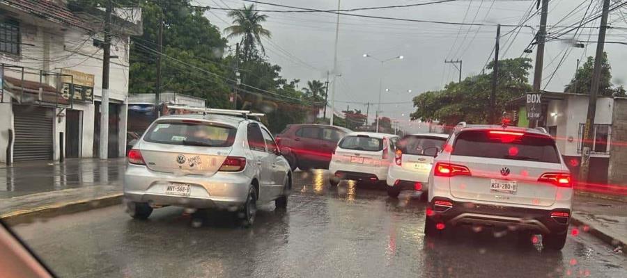 Lluvias provocan accidentes, árboles caídos y zonas sin energía en Tabasco