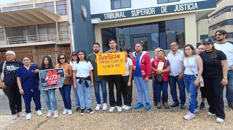 Activistas protestan en Plaza de Armas para exigir justicia por gatita ´Julien´