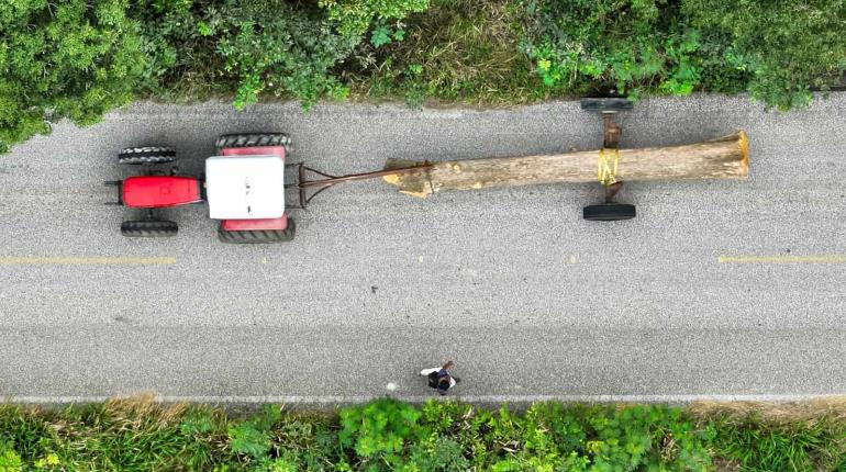Alertan sobre tala ilegal en Reserva de la Biosfera Wanha