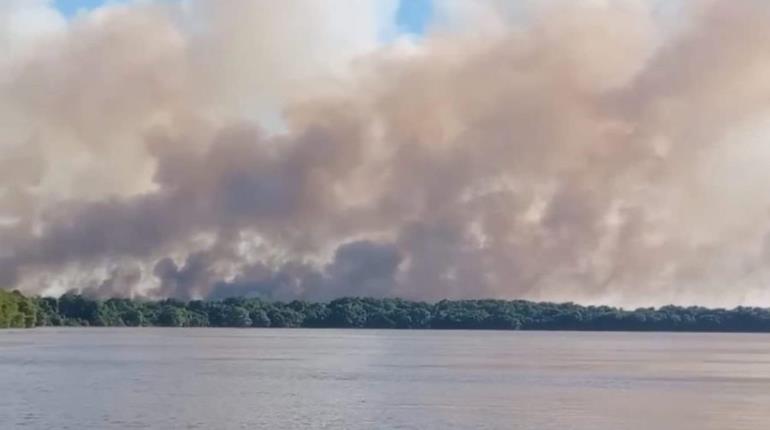 Tres incendios forestales activos en Tabasco, reporta Conafor