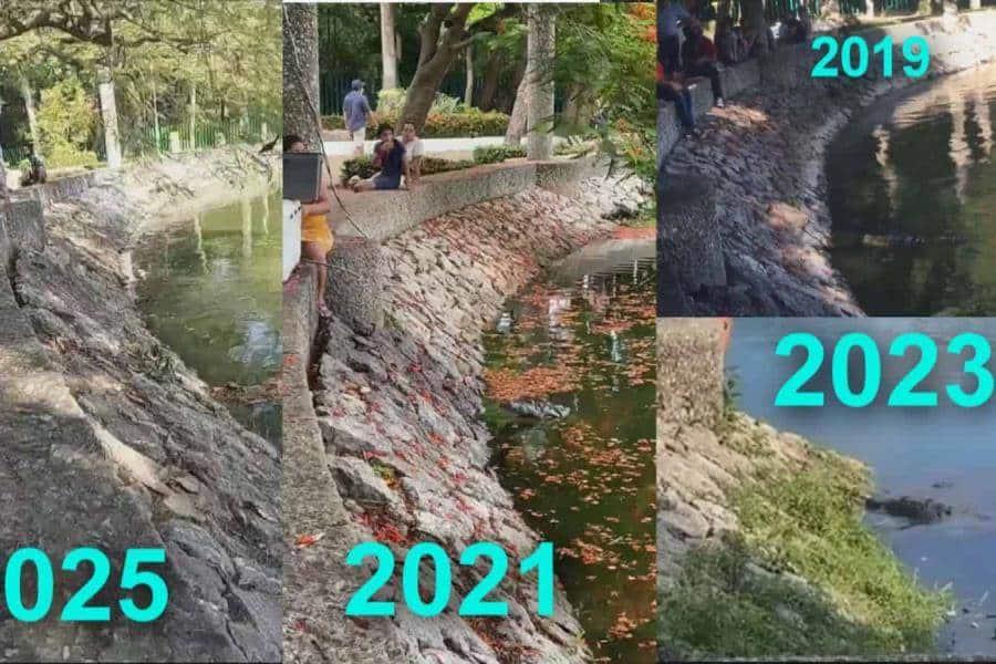 Cocodrilo se acerca a mujer y su hija que pescaban en el Parque Tomás Garrido