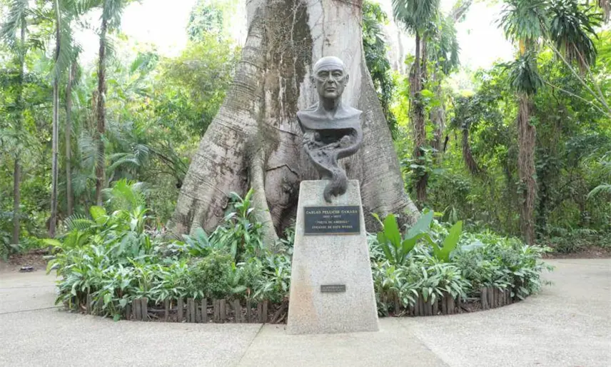 Museos han recaudado 7.9 mdp hasta septiembre: Cultura