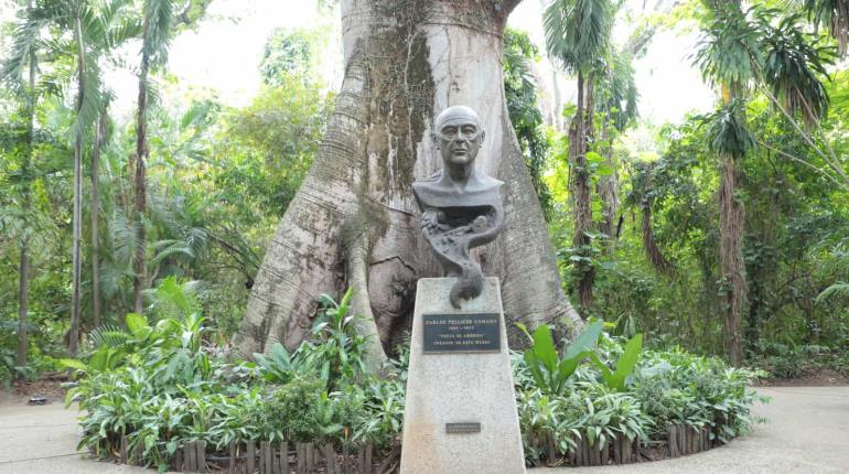 Parque Museo La Venta; la creación de Pellicer cumple 67 años