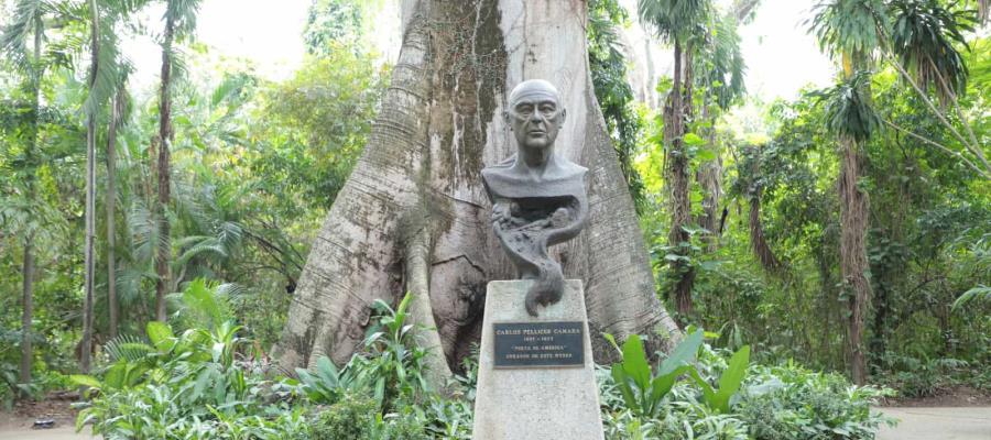 Parque Museo La Venta; la creación de Pellicer cumple 67 años