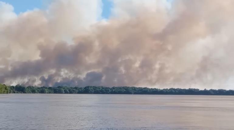 Sofocan incendio en Pantanos de Centla; afectó 800 hectáreas